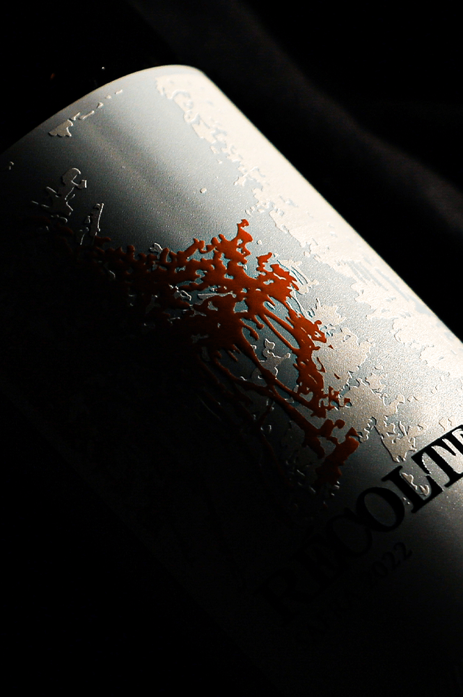Vinho-Recolte-Merlot-Jolimont