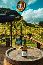 Vinho-Branco-Reserva-Chardonnay-Vinicola-Jolimont
