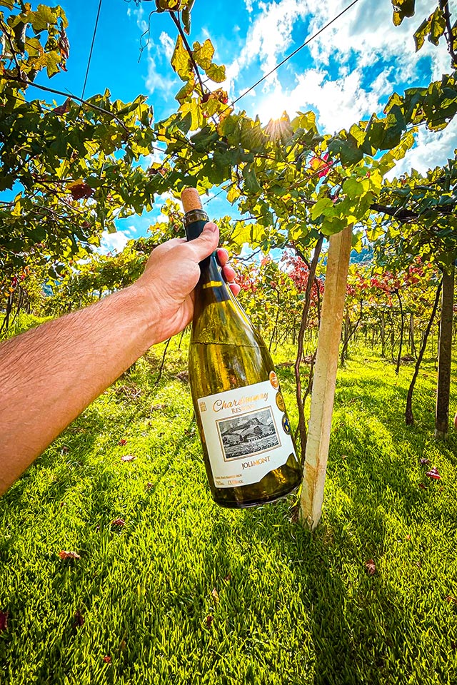 Vinho-Branco-Reserva-Chardonnay-Vinicola-Jolimont