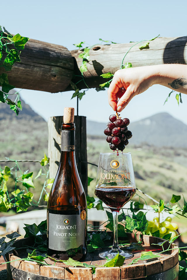 Pinot Noir Reserva