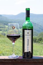Tannat Demi-sec 1